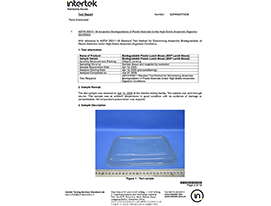 BDP Degradation Report-2