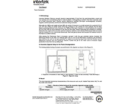 BDP Degradation Report-4