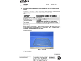 BDP Degradation Report-6